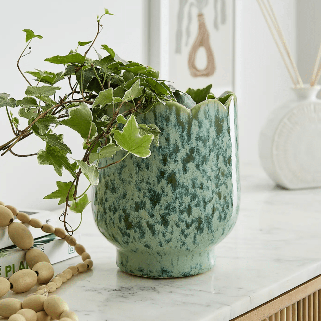Scalloped Ceramic Plant Pot from Dunelm
