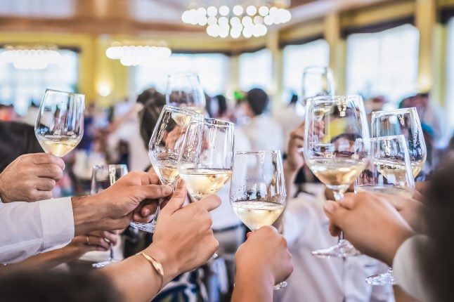 Toast with wine at a wedding