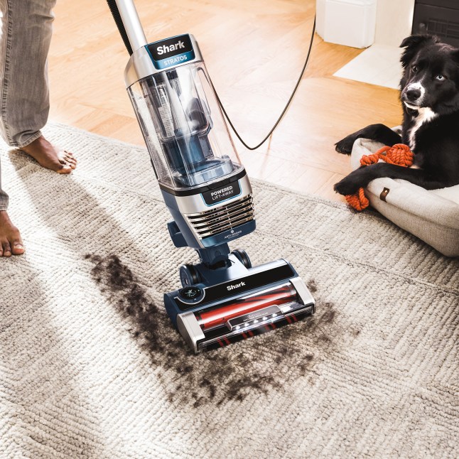 Shark Stratos Pet Pro Anti Hair Wrap Plus Anti-Odour XL Upright Vacuum