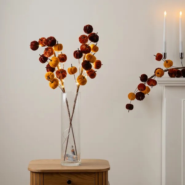 Pumpkin stems from Dunelm