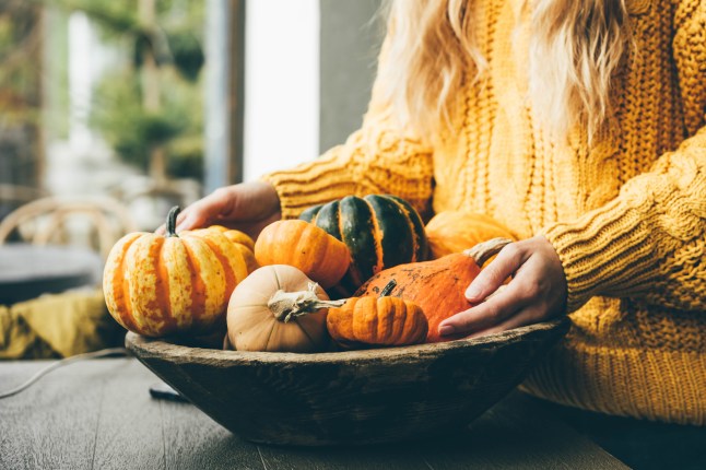 Woman holding decorative orange pumpkins for autumn decorations. Fall festive picture.