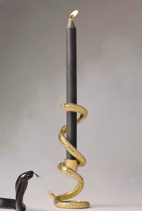 Snake candle holder with black candle