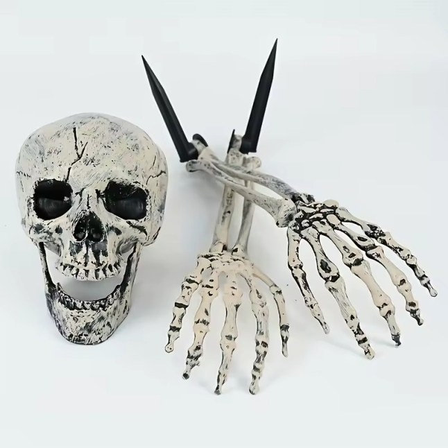 Realistic Human Skull and Skeleton Hands Halloween Decoration