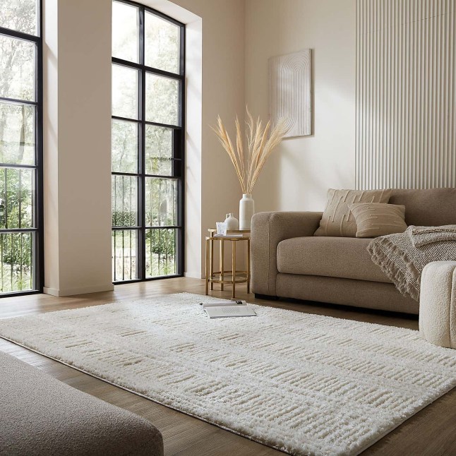 Bright livingroom with beige carpet and sofa