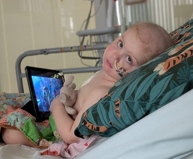 Story from Jam Press (Toddler Lazy Eye) Pictured: Harper Gibson in the hospital. ?We thought our toddler had a lazy eye ? two days later she was having emergency brain surgery? The parents of a little girl who they believed may have a lazy eye have spoken out to raise awareness after the tot was diagnosed with brain cancer. Harper Gibson had been exhibiting ?tiny? symptoms that something was amiss this summer, and a video of the two-year-old with what appeared to be a lazy eye prompted her parents to take her to see an optician. The eye test ?changed everything?, and Harper was immediately referred to the hospital for further testing. Just two days later, she was undergoing a seven-hour surgery to remove a 1.5-square-inch tumour from her brain. A biopsy confirmed her parents, George and Laura?s, worst fears, and Harper has been bravely facing gruelling treatment ever since. ?No parent is ever prepared for that moment,? George, from Staffordshire, told NeedToKnow of the day Harper was diagnosed. ?It?s a kind of pain that rips through you in silence. ?You want to scream, cry, do anything to take it away from them, but you can?t. ?That night, we both remember feeling like the world had stopped. ?Everything that used to matter suddenly meant nothing.? In the weeks leading up to the diagnosis, at the beginning of July, Harper had been more tired than usual and wasn?t ?quite herself?. George said: ?It was tiny things that, at first, didn?t seem like much. ?We made several trips to the GP and A&E, each time being told it was tonsillitis or an ear infection. ?She was given antibiotics, but nothing helped her symptoms.? ?Every visit ended the same way ? reassurances that she?d be fine. ?But inside, we both knew something wasn?t right. ?It?s that instinct parents have; you know your child better than anyone, and we could feel something deeper was wrong.? With Harper appearing to have a lazy eye, a family friend suggested they book her in to the opticians to rule anything else out. George said, ?That decision changed everything. ?The Specsavers team in Safford were incredible. ?They were calm but serious, and when the optician stopped the test halfway through and explained that something didn?t look right, everything changed.? Within minutes, they were referred to a local hospital, where scans found a mass on Harper?s brain, with a large amount of fluid at the front. The tot was quickly transferred to Birmingham Children?s Hospital for specialist treatment, and within two days of the eye test, on 14 August, Harper was undergoing brain surgery. George said, ?Waiting through that surgery felt like a lifetime. ?You sit there as a parent, knowing there?s absolutely nothing you can do but hope.? Thankfully, the operation was a success, and the staff?s care was a ?lifeline? for the family. A week after the operation to remove the mass, the family were back in the hospital for the results. George said: ?We heard the words that will stay with us forever: the tumour was cancerous.? Harper was diagnosed with medulloblastoma, a form of brain cancer, which is treatable. That week, Harper began chemotherapy treatment with the oncology team. George said, ?Before all of this, Harper was full of energy and mischief, a proper little character. ?She loves her doggy BearBear, dancing around the living room, and running circles around us. ?She was the kind of child who made everyone around her smile. ?To see that light fade, and to see her hooked up to machines and unable to play, is breaking us. ?You spend your life protecting your child from harm, then suddenly you?re powerless, watching them go through something no one should have to face.? Since her diagnosis, Harper has been in ?relentless? treatment in a bid to destroy the cancerous cells in her body. George said, ?Through it all, Harper keeps smiling. ?She finds joy in the smallest moments ? a sticker from a nurse, bubbles from a play specialist, or just doing the best she can. ?Right now, Harper is stable and responding to treatment as well as anyone could hope. ?The team are positive, but they?ve also been honest ? cancer is unpredictable. ?Every scan brings a mix of hope and fear. ?You learn to live from one day to the next. ?We?ve had to rebuild our lives around chemotherapy schedules, hospital stays, blood counts, and side effects. ?It?s hard to describe what this does to a family. ?You lose routine, sleep, work, and sometimes even a sense of who you were before it all began. ?It?s barrage after barrage, never knowing when the next hit will come. ?But Harper?s spirit keeps pulling us through. ?Somehow, through all of it, Harper shines. ?She laughs, she plays, she loves. ?She?s taught us more about strength than we could ever teach her.? Her parents have also commended the care they have received from the hospital staff throughout the ordeal. George said, ?Amongst all the fear, the team at Birmingham Children?s Hospital gave us something we desperately needed: hope. ?Their compassion, honesty and care reminded us that while we couldn?t control the illness, we weren?t alone in the fight. ?We owe everything to the Oncology team on Ward 18 ? they?re extraordinary. ?Shivani, Eloise, Lukas, Jenny, and so many others have become like family. ?They?ve cried with us, laughed with us, and carried us. ?We?ll never forget the nurses on Ward 10 either, the team who looked after Harper after her surgery. ?They still pop in to check on her whenever they can ? that kind of care goes beyond duty; it?s love. ?Cancer might have taken away a part of her childhood, but it?s also shown us a side of humanity we didn?t know existed. ?People who love, care, and fight for children like ours every single day.? Family friends are currently fundraising to help support the Gibsons financially throughout Harper?s treatment, with a goal of ?15,000. ENDS EDITOR?S NOTE: Please run any major changes to the angle past Jam Press - the case study is slightly sensitive re the angle not being too negative. Video Usage Licence: (NON-EXCLUSIVE) We have obtained a non-exclusive licence from the copyright holder. A copy of the licence is available on request. Video Restrictions: None.