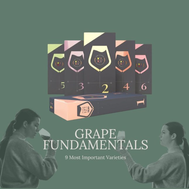 I?ve worked in the drinks industry for 24 years ? this is what wine buffs really want for Christmas