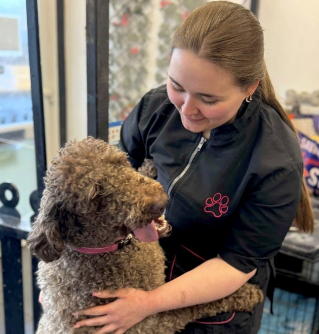 PIC FROM Kennedy News and Media (PIC SHOWS: COURTNEY STOCKS, 22, BELIEVES THE STRESS OF HER DOG-GROOMING JOB TRIGGERED A CARDIAC ARREST) A fit and healthy dog-groomer was brought back to life by her dad after suffering a cardiac arrest in her back garden - brought on by the 'stress of her job'. Courtney Stocks, who lives in Ilkeston, Derbyshire, was at home on Sunday November 16th when her parents came round for a visit. The 22-year-old went outside to her back garden when she suddenly collapsed onto the ground. DISCLAIMER: While Kennedy News and Media uses its best endeavours to establish the copyright and authenticity of all pictures supplied, it accepts no liability for any damage, loss or legal action caused by the use of images supplied and the publication of images is solely at your discretion. SEE KENNEDY NEWS COPY - 0161 697 4266