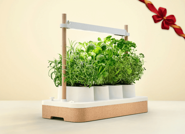 White items with small white pots with herbs growing out