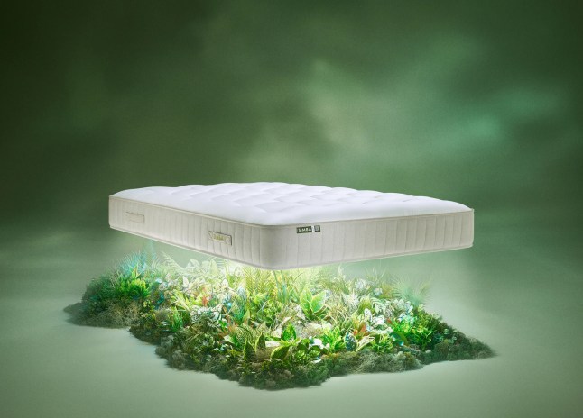 Mattress floating with plants below