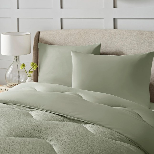 Green bedding on bed
